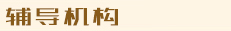 纸飞机电报下载